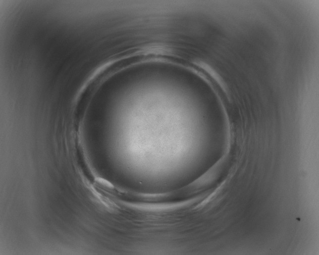 X0000083601115200702091212