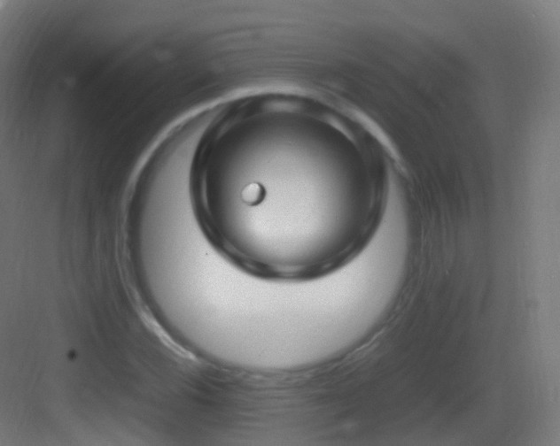 X0000083601116200702091212