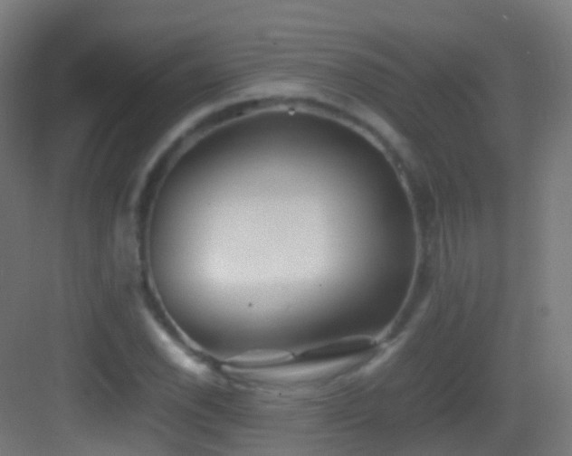 X0000083601118200702091213