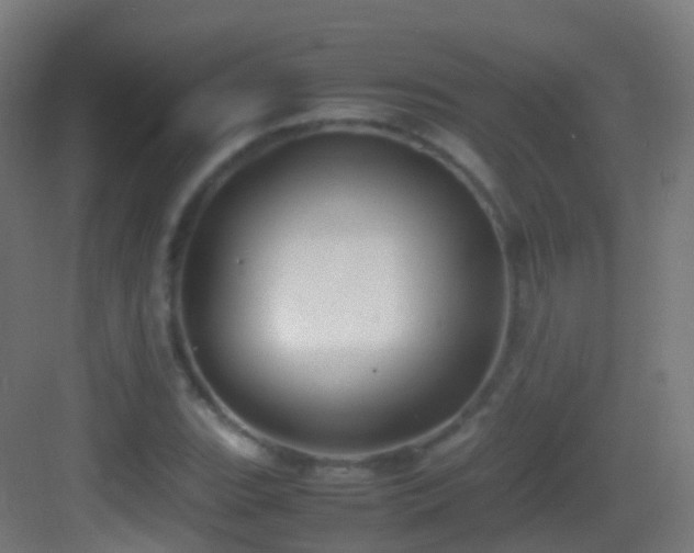 X0000083601119200702091213