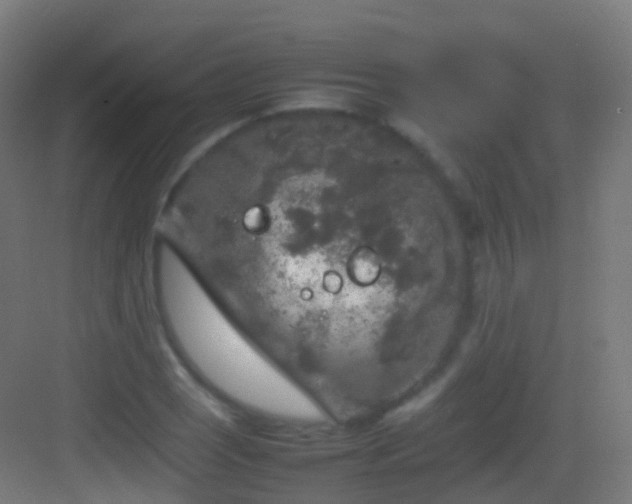 X0000083601121200702091213