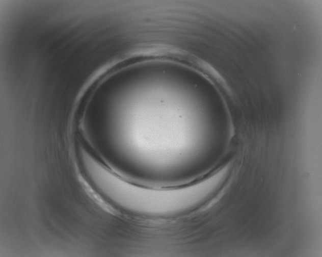 X0000083601122200702091213