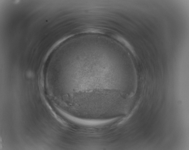 X0000083601125200702091213