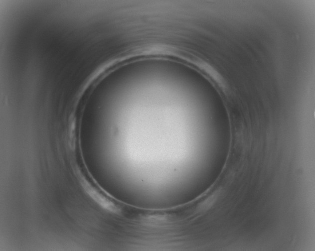 X0000083601126200702091213