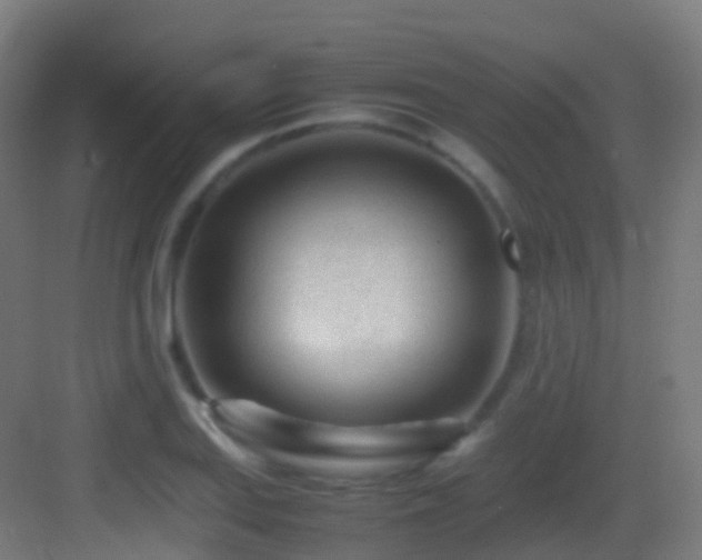 X0000083601127200702091213