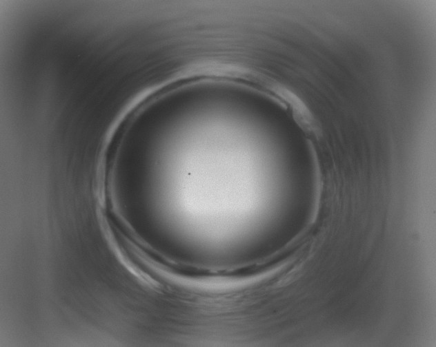 X0000083601128200702091213