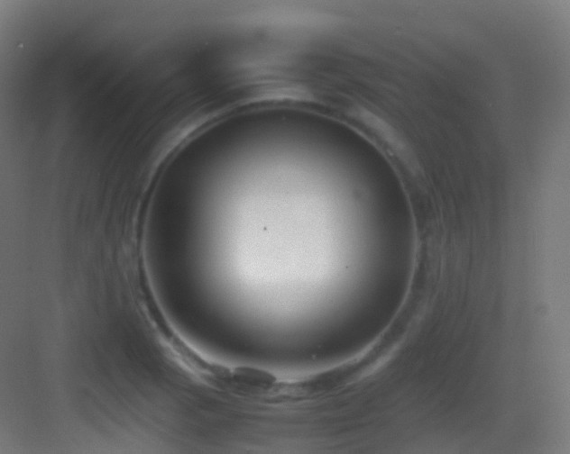 X0000083601129200702091213