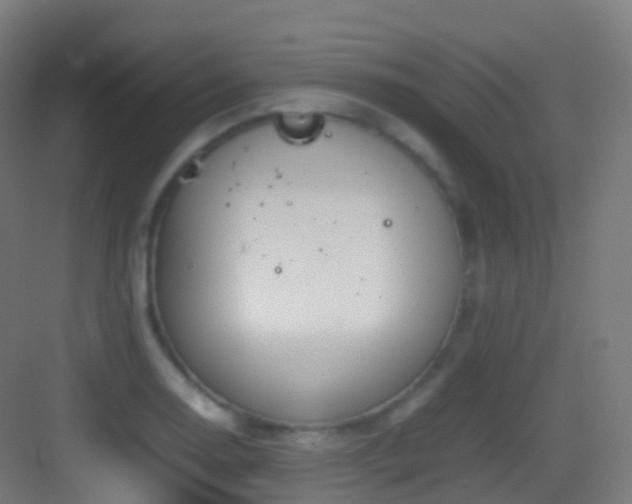 X0000083601130200702091213