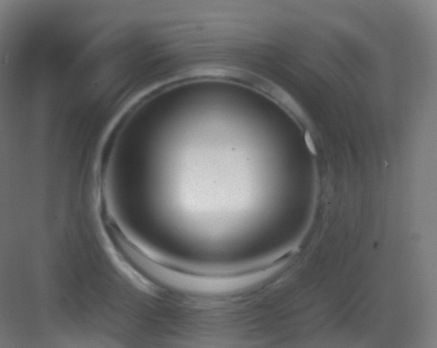 X0000083601132200702091213