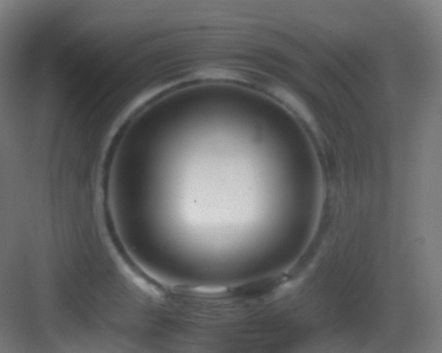 X0000083601133200702091213