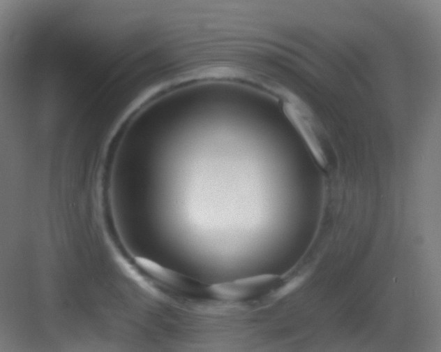 X0000083601134200702091213