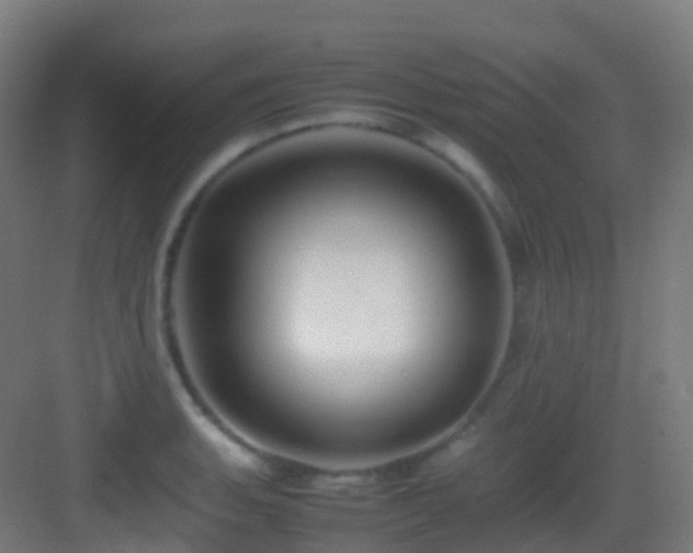 X0000083601135200702091213