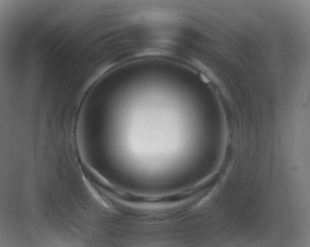 X0000083601137200702091213