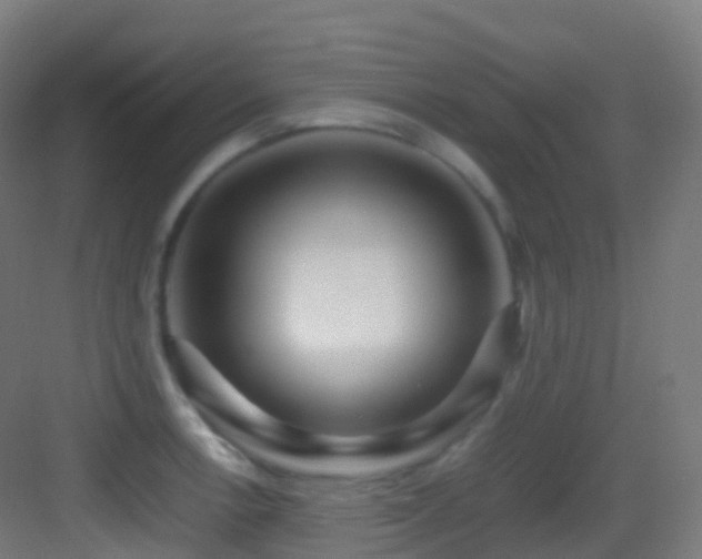 X0000083601138200702091213