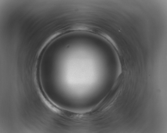 X0000083601139200702091213