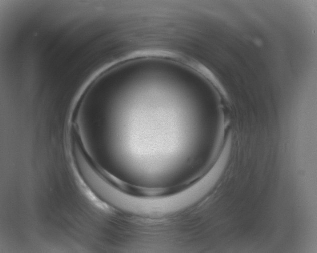 X0000083601140200702091213