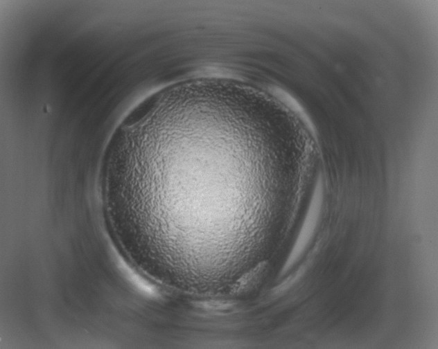 X0000083601141200702091213