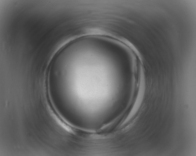 X0000083601142200702091213