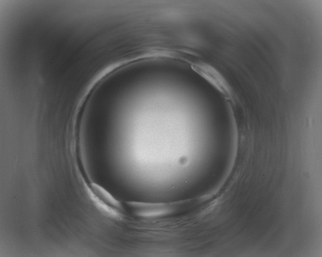 X0000083601143200702091213