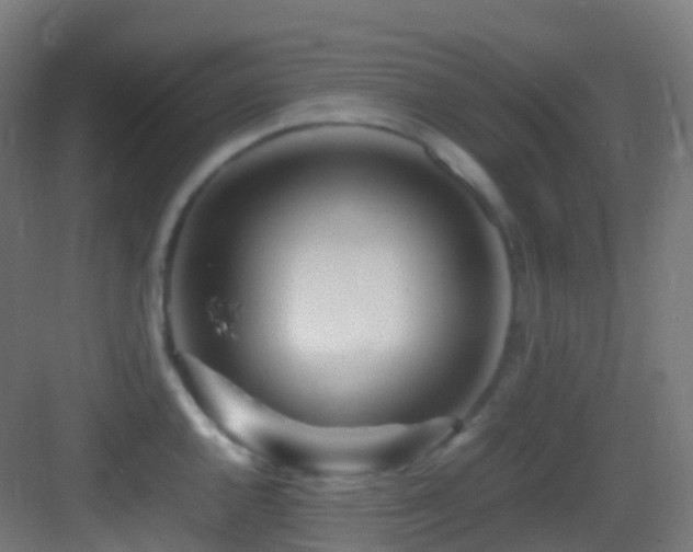 X0000083601144200702091213