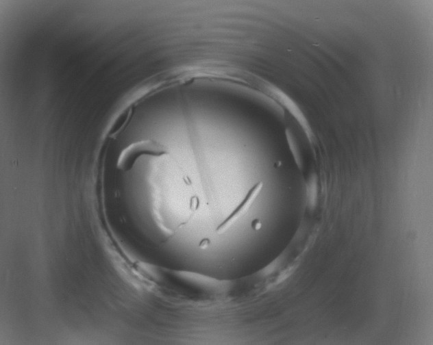 X0000083601146200702091213