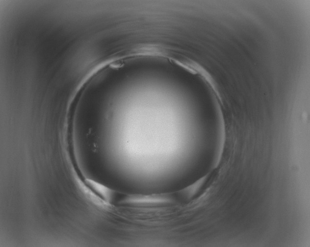 X0000083601147200702091213