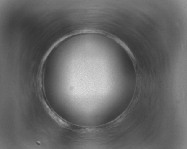 X0000083601148200702091213