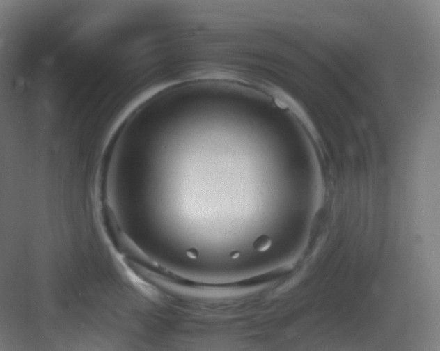 X0000083601149200702091213