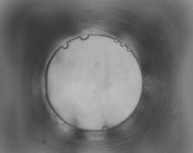 X0000083601150200702091213