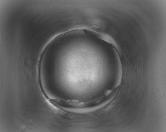 X0000083601151200702091213