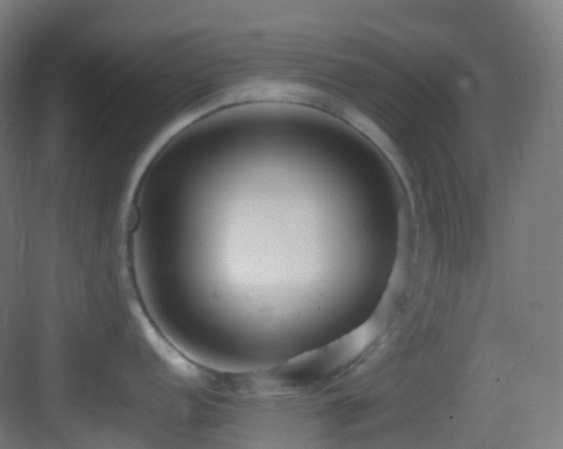 X0000083601152200702091213