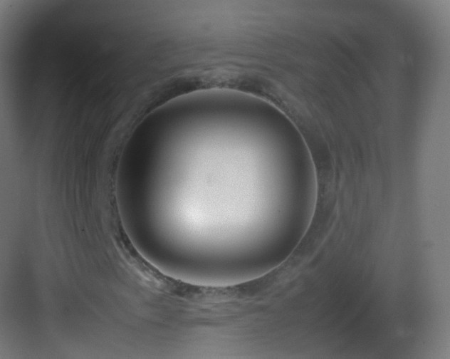 X0000083601153200702091212