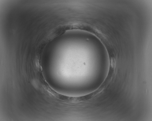 X0000083601155200702091212