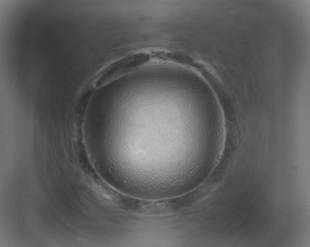 X0000083601159200702091212