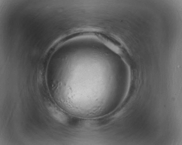 X0000083601163200702091212