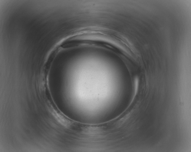 X0000083601164200702091212