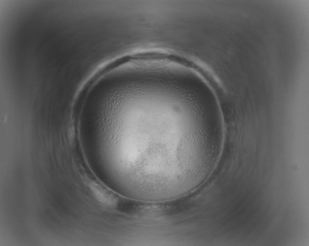 X0000083601167200702091212