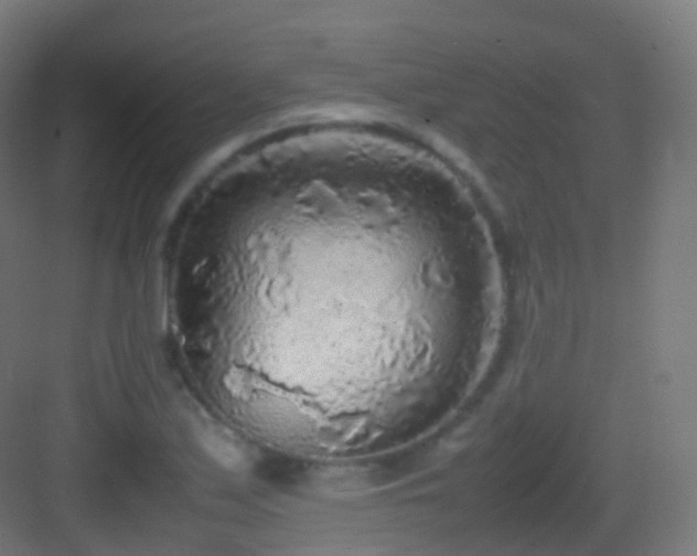 X0000083601171200702091212