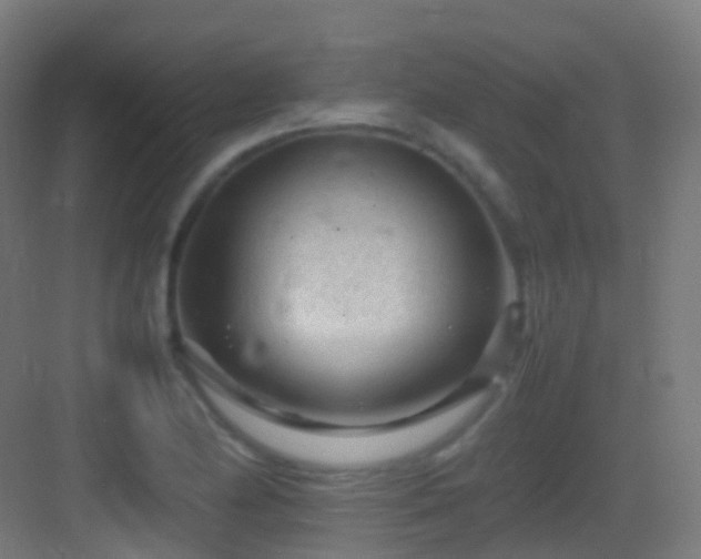 X0000083601174200702091212