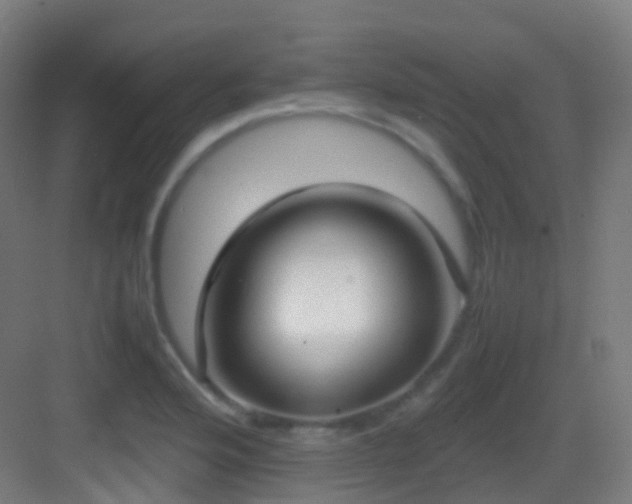 X0000083601176200702091212