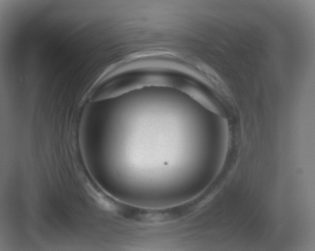 X0000083601177200702091212