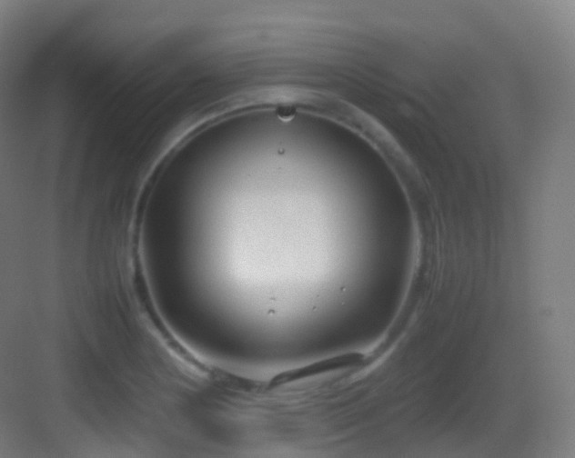 X0000083601178200702091212