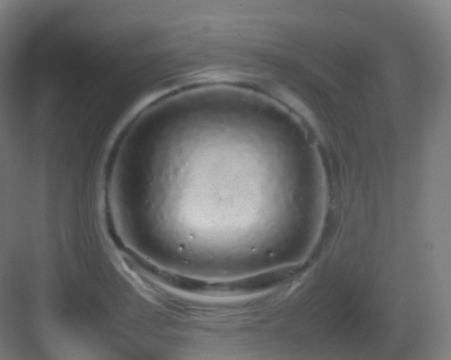 X0000083601179200702091212