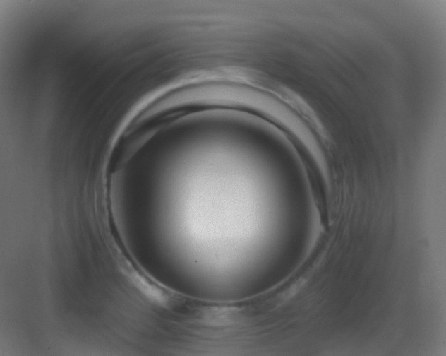 X0000083601184200702091212