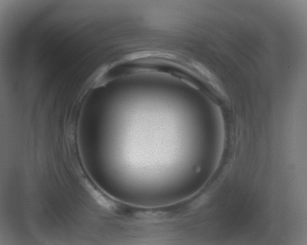 X0000083601185200702091212