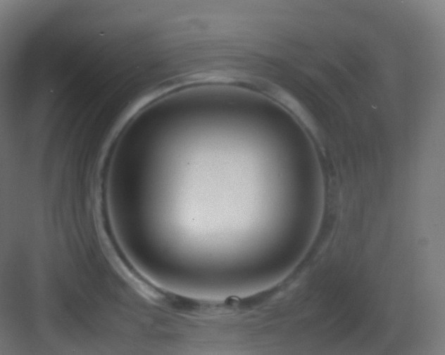 X0000083601187200702091212