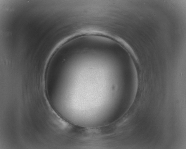 X0000083601191200702091212