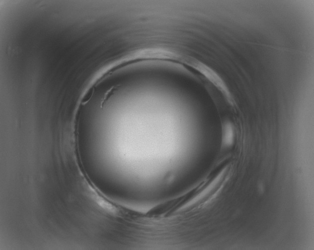 X0000083601192200702091212