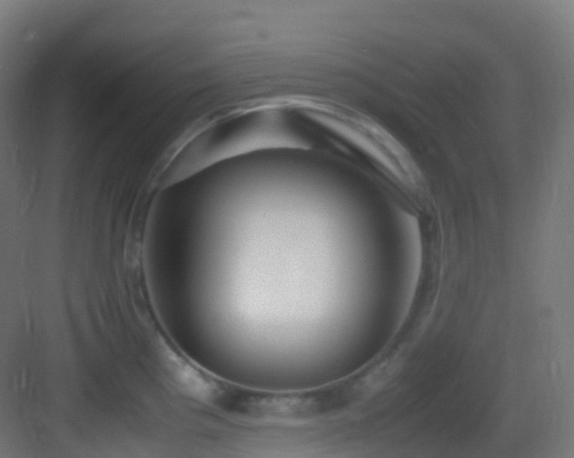 X0000083601193200702091212