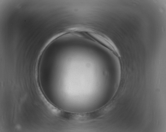 X0000083601195200702091212